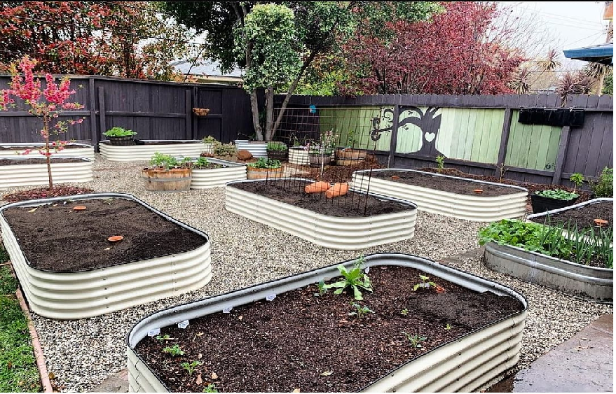 raised beds