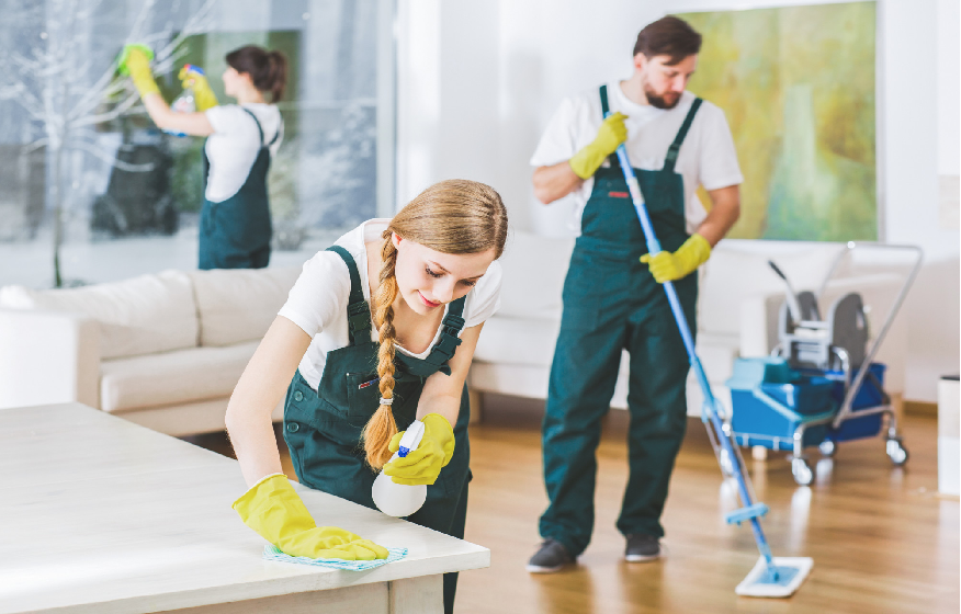 Suggestions for Selecting the Proper Housekeeper for Your Wants